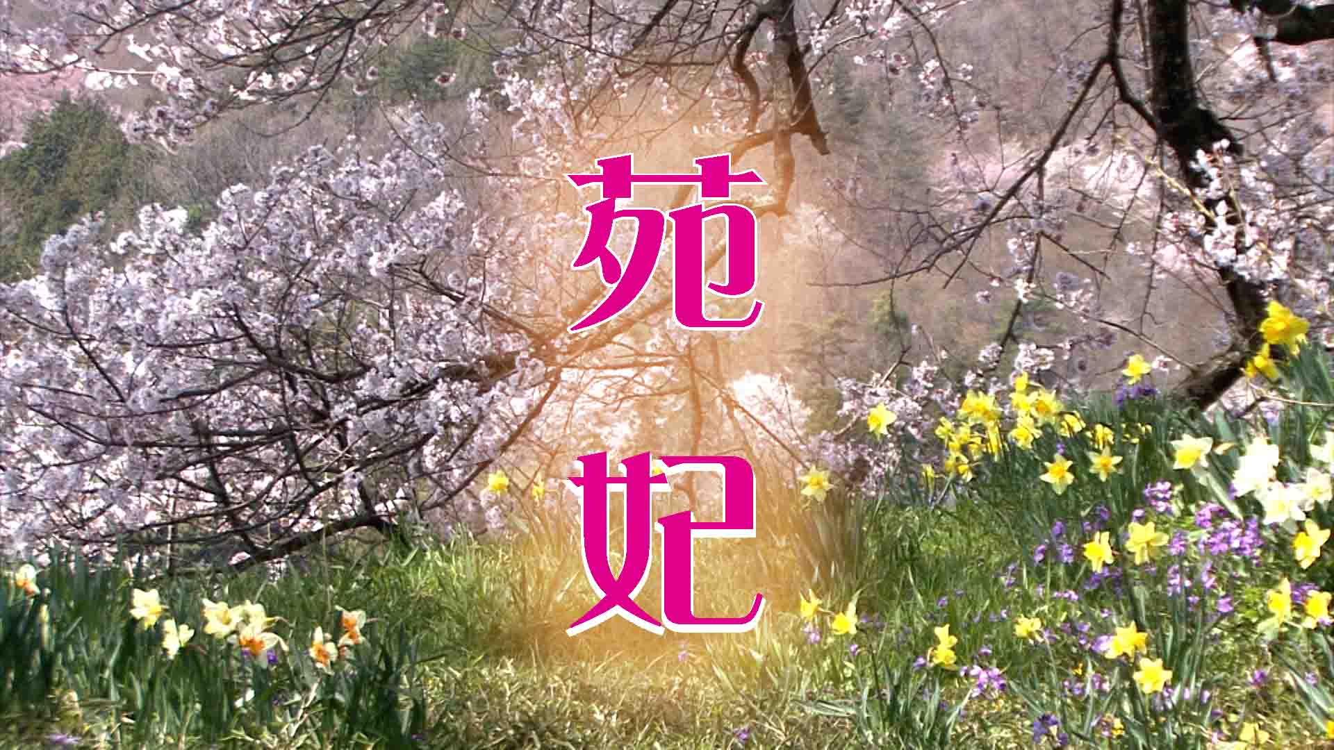 五輪に舞う桜 / 人を動かすもの