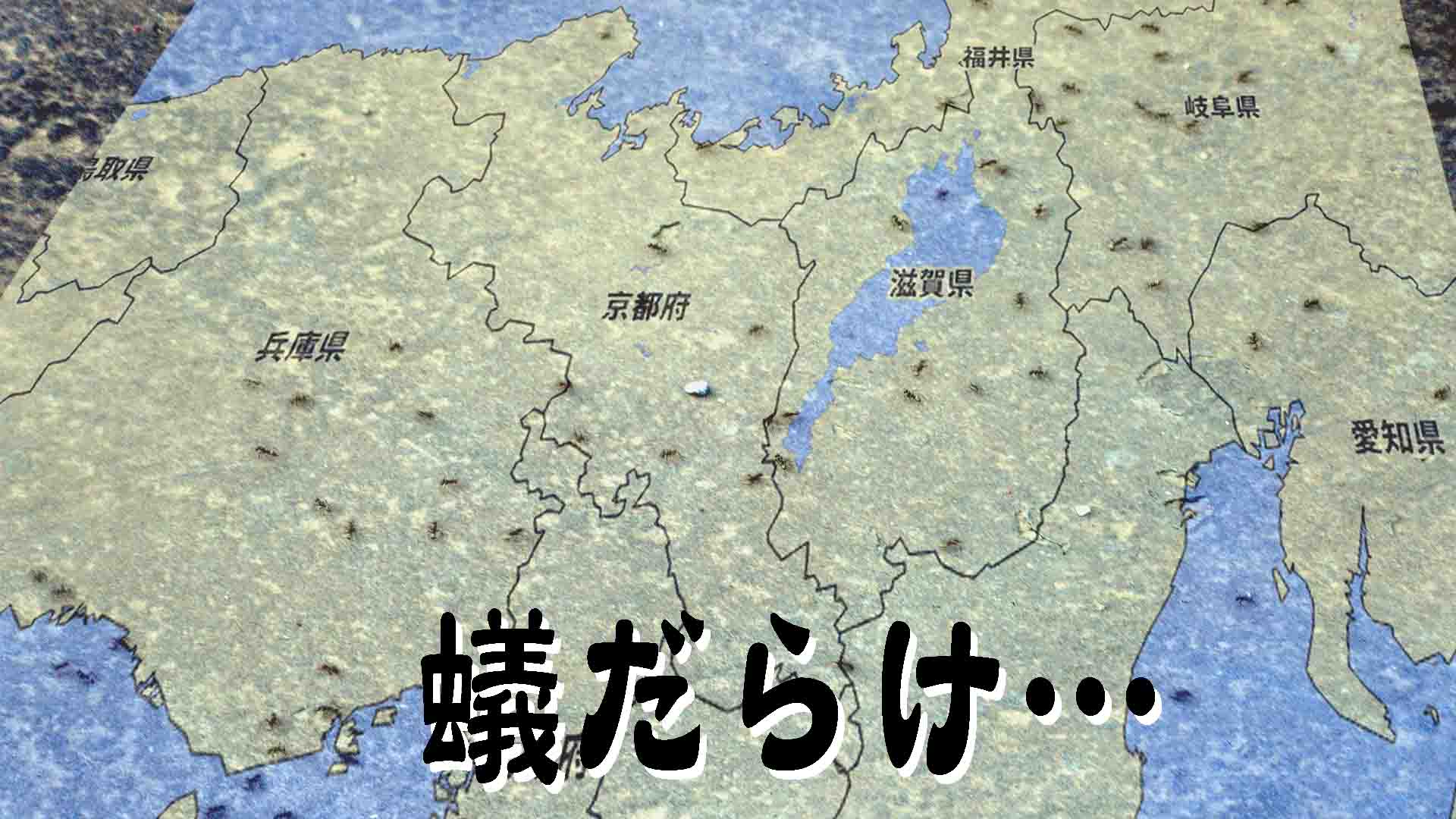 麒麟（40）戦国の蟻たち