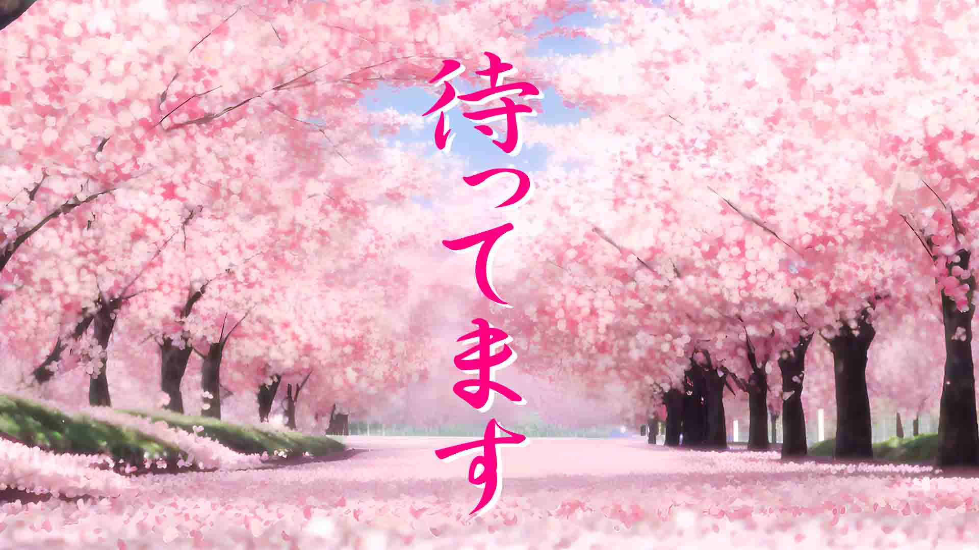 21-2.桜があなたを待っている… 卒業ソング・後編