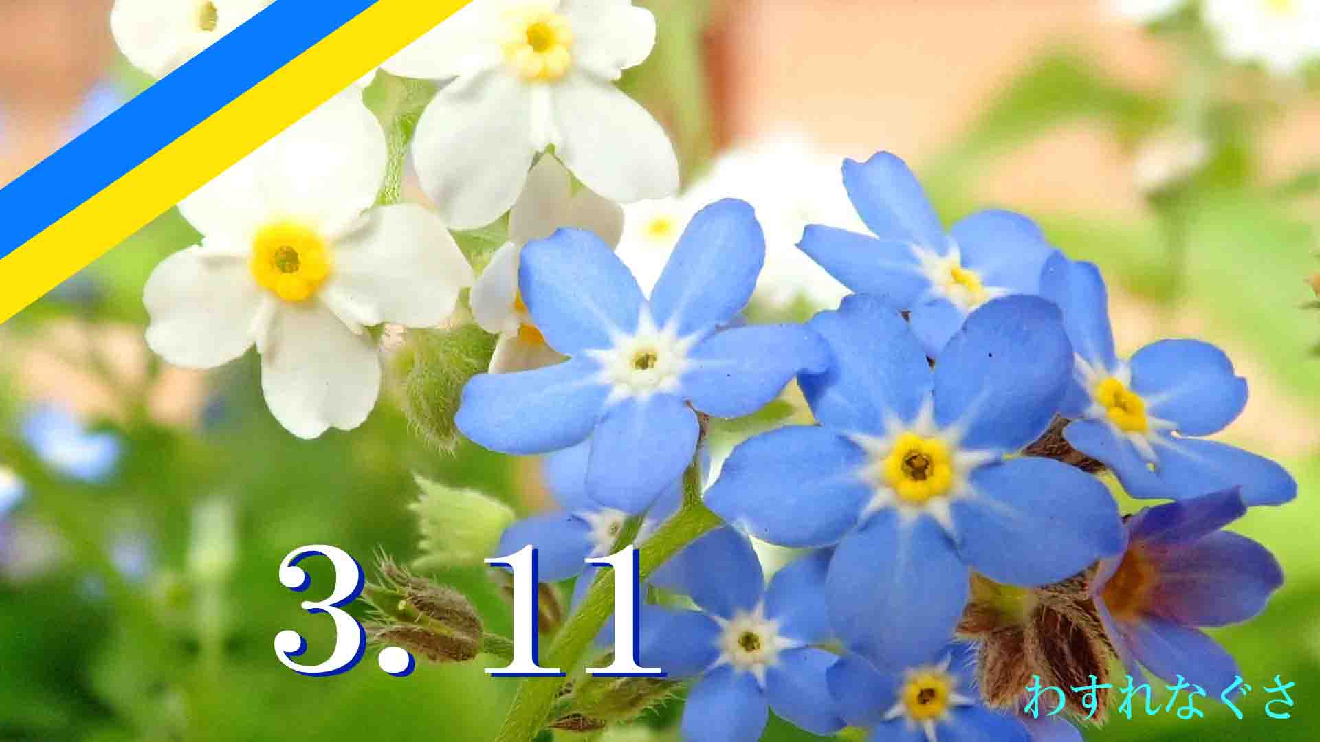 20.その日を忘れない… 311