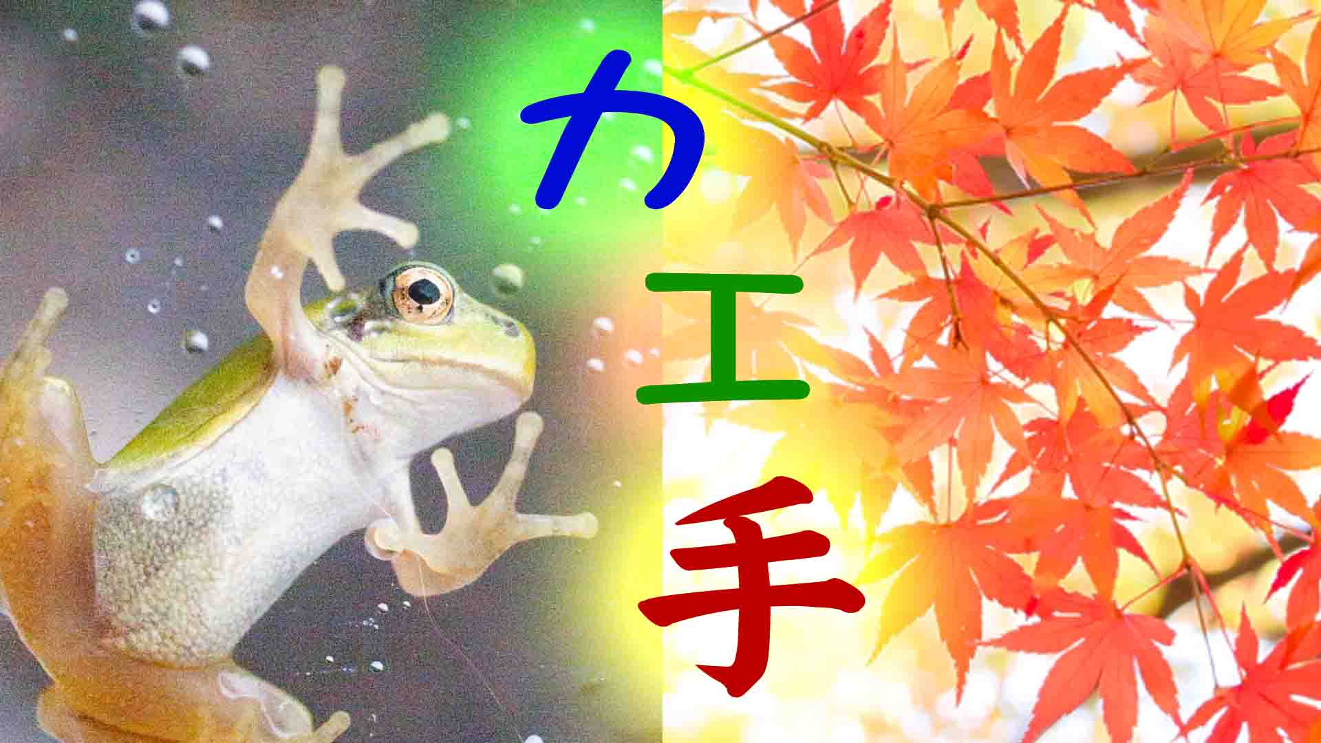 97.秋だもの…カエルの手（カエル コネクション.15）