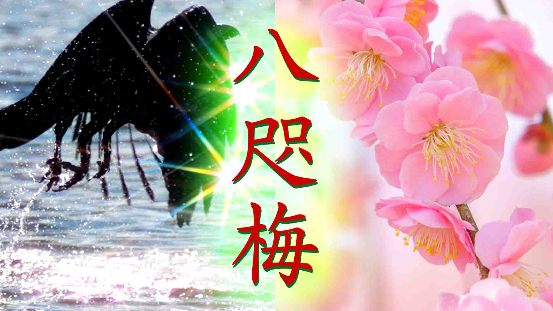 2.ヤタガラスからの伝言【中編】 あの邦楽に（2）琴編